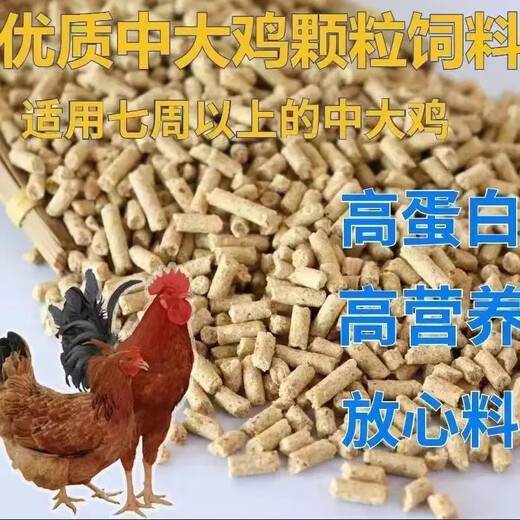 Chicken feed with high nutritional value and calcium supplement for chickens, chickens, ducks, geese, fish feed, farm special feed 20Jin Jin is equal to 0.5kg, medium and large particles of large chicken feed in the package