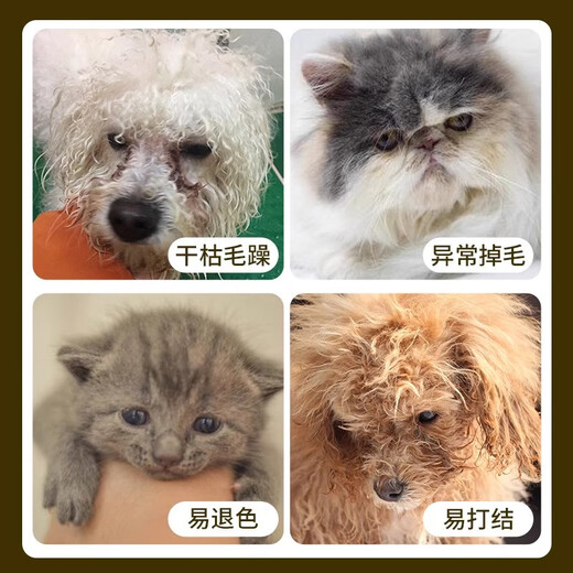 Shuai Zhe Dog Hair Loss and Skin Disease Anti-Hair Loss Spray for Pets Dogs and Cats Anti-Hair Loss Magic Vitamin Fish Oil Spray One Bottle Trial Pack Not Participating in the Activity