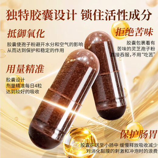 Aodong Broken Ganoderma Spore Powder Capsules, 3 Flaschen, immunitätssteigerndes Nahrungsergänzungsmittel für Menschen mittleren Alters und ältere Menschen