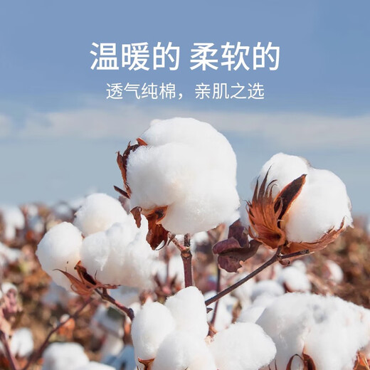 Free high-waist pure cotton autumn pants 7A antibacterial 25 new women's tight warm pants autumn and winter leggings line pants women's cotton