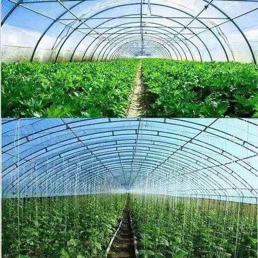 Greenhouse plastic film non-drip film agricultural greenhouse film PO film vegetable planting anti-fog high light transmittance anti-aging longevity film national standard thickness non-drip film 10 silk (0.10 mm) official authentic 10 meters wide 12 meters long