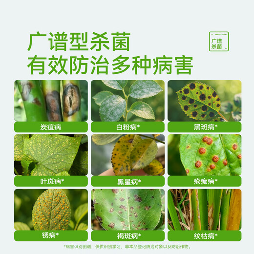 Stanley Difenfen Fenoconazole Anthracnose Leaf Spot White Powder Black Spot Commonly Used Fungicides for Rose Flower Diseases and Pests 500g Essential for Stocking 5 Bottles