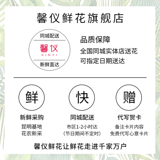 Xinyi New Year's Eve flower express rose carnation bouquets as gifts for mothers and elders. Nationwide flower delivery in the same city. 19 carnations and lilies mixed bouquets.