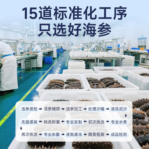 Daxiantian Dalian organic ready-to-eat sea cucumber 3Jin Jin is equal to 0.5kg / 16-21 solids exceeding 85% Liao sea cucumber nourishing gift box straight from the source