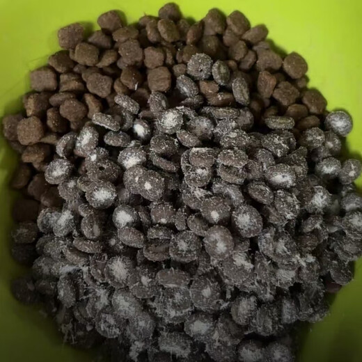 Golden Pet New Product Trial Golden Pet Golden Spruce Fresh Meat Cat Food Scientifically Proportioned to Really Eliminate Hair - Long-Term Maintenance 40g*10 Pack (In-depth Experience) 40g