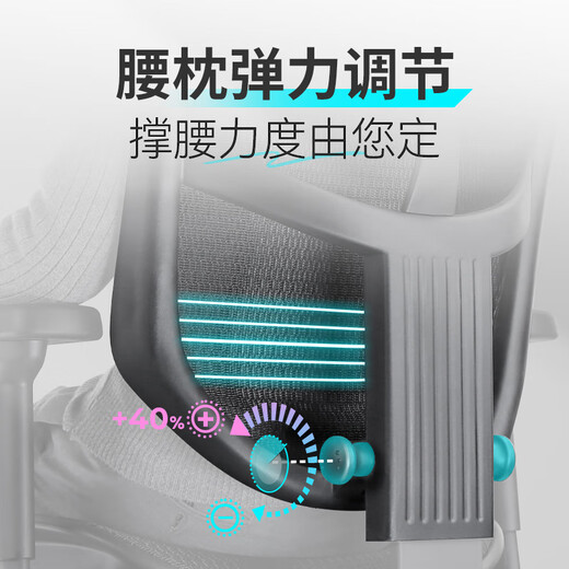 Ergonor Jin Zhuo Xiongying ergonomic chair, cost-effective computer chair, home office chair, gaming e-sports chair, Jin Zhuo Xiongying, silver white net + lying Shubao, not easy to get tired after sitting for a long time