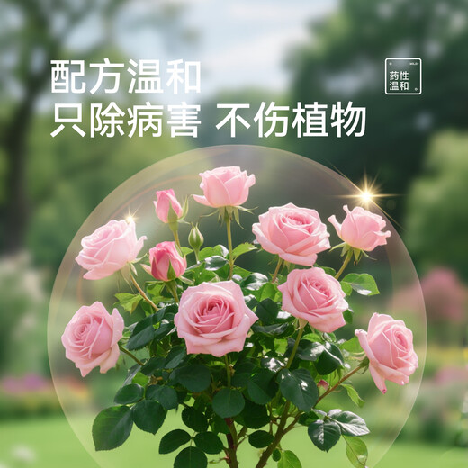 Stanley Difenfen Fenoconazole Anthracnose Leaf Spot White Powder Black Spot Commonly Used Fungicides for Rose Flower Diseases and Pests 500g Essential for Stocking 5 Bottles