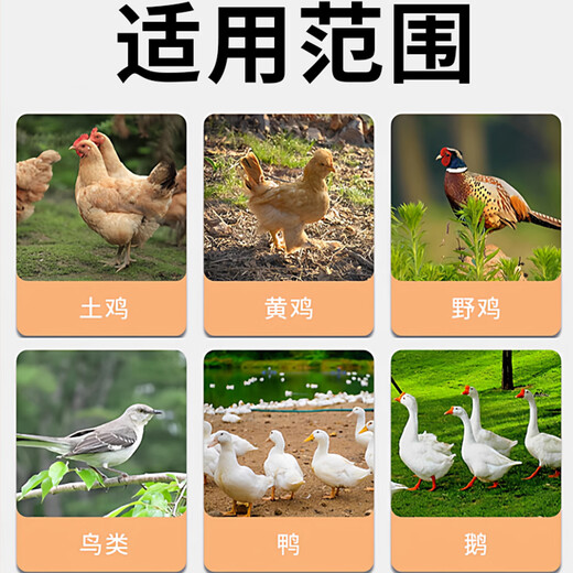 Laying hen feed, quail, duck and goose, general inducing egg, calcium supplement, nutritional granules, hen full-price feed, grains and grains, 16 bottles, picked up with soft hands