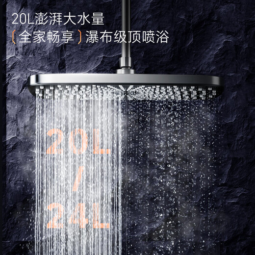 Rinnai Master Series 20L Large Liter Gas Water Heater Full Water Servo Constant Temperature Large Water Volume Water Heater 0.5 Temperature Adjustment 20GD73 (JSQ40-GD73)