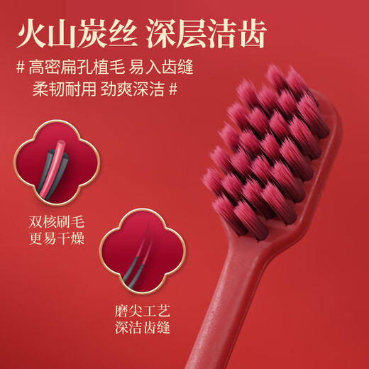BRUSHING BEAR soft-bristled toothbrush Sam's same style wide head gum protection New Year's wedding wedding celebration dowry men and women special 2 pieces