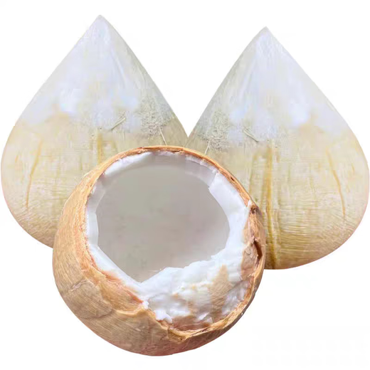 Imported Milky Coconut Royal Coconut Seasonal Fresh Fruit Green Coconut Milky Fragrance Rich and Sweet Taste King of Cost-Effectiveness Coconut King 9 pieces come with soft knife Large fruit single fruit 400-500g