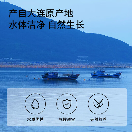 Yihai organic wakame 55g*2 cans Dalian produced no cutting no tearing natural drying high foaming soup source straight hair