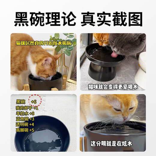 Hanhan Pet Cat Constant Temperature Water Bowl Ceramic Water Dispenser Heating Warm Water Cat Bowl Pet Supplies Dog and Kitten Yogurt Machine Constant Temperature Heating Pad + Ceramic Bowl 350ML Black