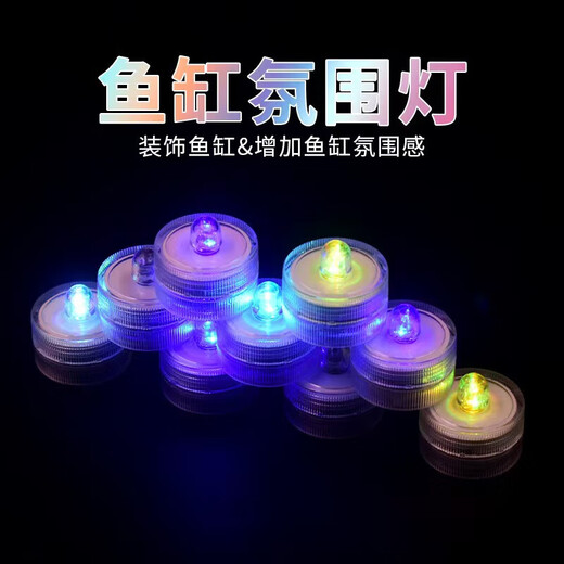 Trendy lifestyle electrical appliances lantern fish tank 1 fish tank (comes with colorful stones and water plants)