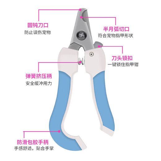 Pet Nail Clipper Set File Stainless Steel Cat and Dog Nail Clipper Cleaning and Beauty Supplies Blue Set-Large Factory Direct Sales