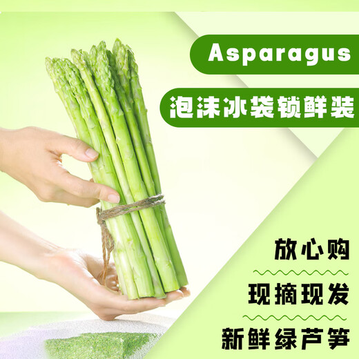 Home of Asparagus First Green Asparagus, Tender Asparagus, Fruit Asparagus, Supermarket Quality Mid-Autumn Festival Steak, Western Food Partner, Intermediate Asparagus, About 0.8 in Diameter, 300g Taste Pack