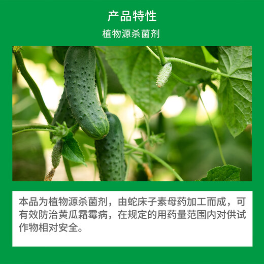 Qingyuan osthole 1% downy mildew plant source extracted fungicide organic pesticide 100ml