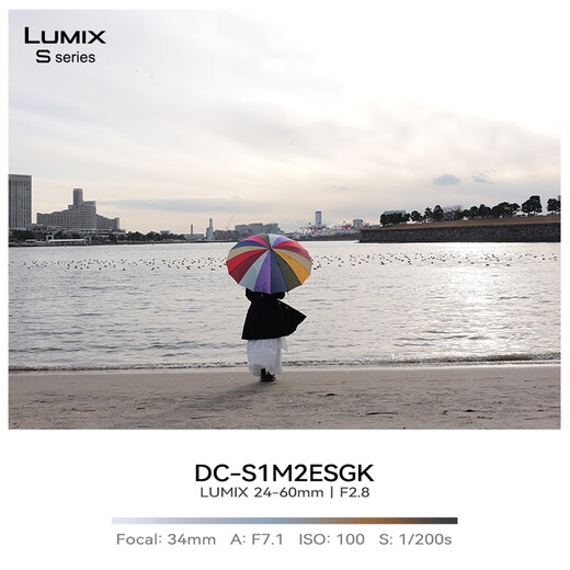 Panasonic 24-60mm full-frame mirrorless/mono/mirrorless digital camera zoom lens S-E2460GK L mount F2.8 constant aperture standard zoom 24-60mm丨constant aperture丨landscape丨portrait丨