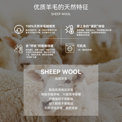 Catman cotton-padded jacket for men, 100% sheep wool filling, lightweight winter youth warmth, thickened stand-up collar liner