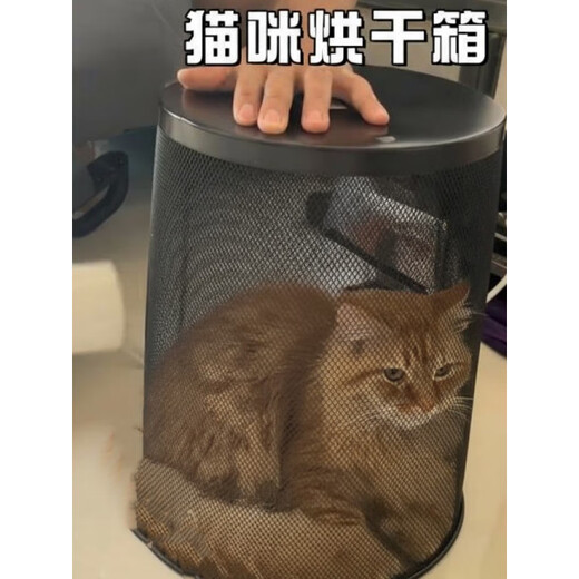 Kaooseen сушильная коробка для кошек, плоская для домашних кроликов и щенков, фен для купания и сушки воды, полотенце против царапин и укусов, 33,75 см