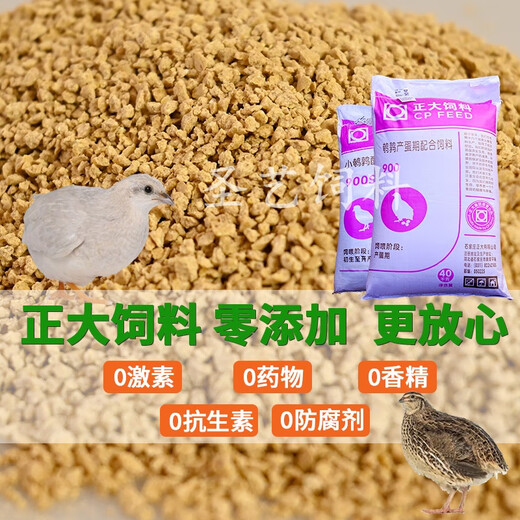 Chia Tai Food 900 rutin chicken feed quail egg laying special chick opening brooding rutin chicken chicks general food multi-dimensional brooding egg laying period