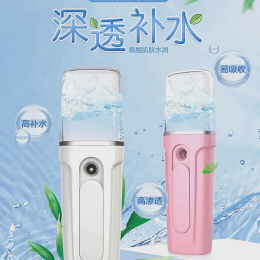 Handheld cold spray rechargeable girl's skin test steaming face mini portable moisturizing beauty white luxury model (water tank 40ML)