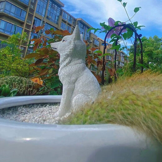 Fantasy nine-tailed fox succulent flower bonsai decorative ornaments outdoor monkey tail column landscape white small fox tail red fox lying