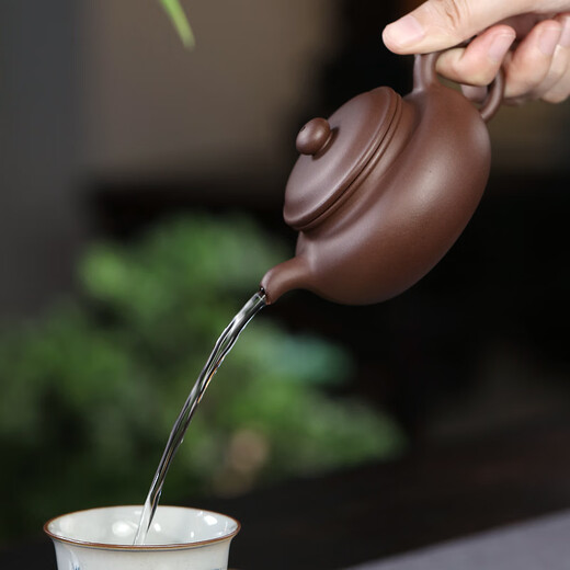 Hidden Pot World Yixing Purple Clay Pot Purely Handmade Teapot Original Mineral Purple Clay Small Capacity Household Kung Fu Tea Set Teapot Antique Pot Antique Pot 170ml