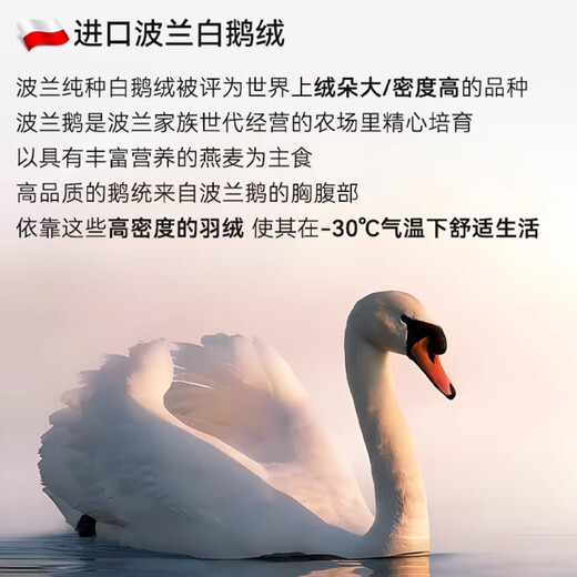 YAYA Goose Down Silk New Men's Warm Pants Men's Plus Velvet Thickened Defa Thermal Knee Pads Seamless Basement Long Autumn Pants