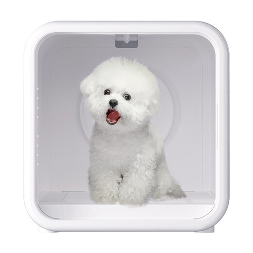 PEISIMA Intelligent Constant Temperature Pet Drying Box for Cats and Dogs Bathing and Drying Artifact British Short Ragdoll Bichon Blowing Water to Prevent Colds H9 Upgraded Model Quiet 6D Comfortable Drying + Negative Ions + Soothing Window