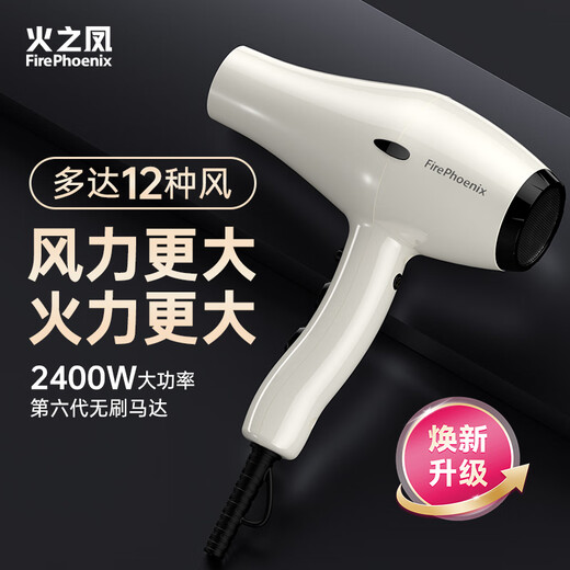 Fire Phoenix Hair Dryer 6600X Hair Salon Special High Power 2400W High Wind Low Noise Home Constant Temperature Hair Care Does Not Damage Hair Barber Shop Professional Hair Dryer Home Appliance 6601X Milan White Negative Ion 2m Cord Long (Four-speed Home Version)
