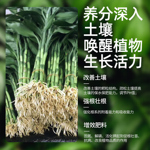 OUOETY Guanyin Bambus-Nährstofflösung Lucky Bamboo Hydroponic Plant Universal Rooted Water Root Spezialdünger Behandelt speziell gelbe Blätter Lucky Bamboo Special Nutrient Solution 2 Flaschen