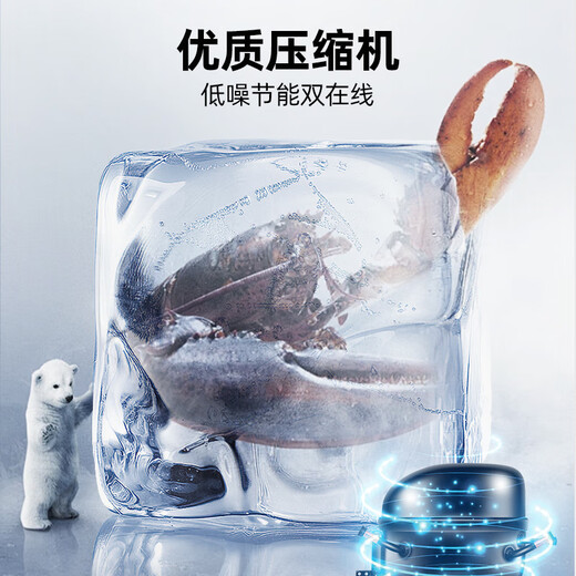 Star display cabinet refrigerated fresh-keeping cabinet frozen display cabinet ice cream cabinet horizontal freezer commercial small beverage refrigerator barbecue a la carte deep bottom island cabinet SD/SC-200BE