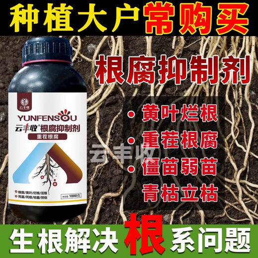 Yunfeng Harvest Genuine Root Rot Inhibitor, Root Rot Nemesis, Damping Down Dead Trees, Rotten Roots, Root Rot, Strong Roots, Purification of Soil, Popular 12 Bottles*1000g+1 Measuring Cup