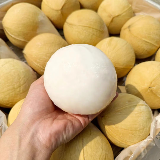 Imported from Thailand, milk-flavored Coconut King Dannen Saduo perfumed coconut chicken soup old coconut fresh fruit JD.com Thai Coconut King 9 pack high cost performance and free soft knife extra large fruit 500g-600g