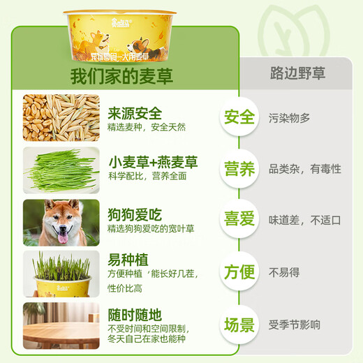 Greedy Horse Dog Straw Dog Snacks Wheat Straw Dog Snacks for Lazy People No Soil, Cleans Teeth, Fresh Breath Dog Snacks 2 Boxes
