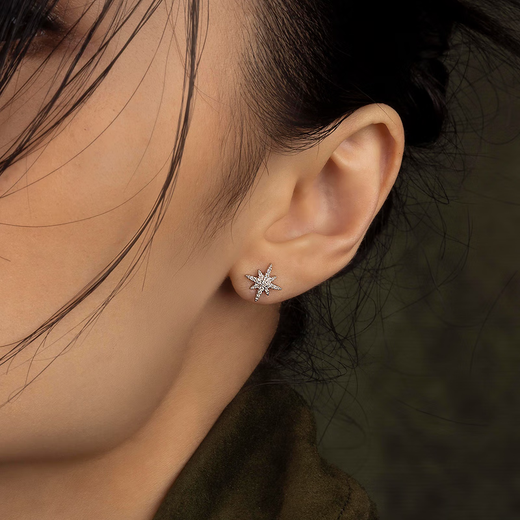 APM Monaco six-pointed star silver earrings, women's earrings, silver earrings, fashion jewelry gifts for girlfriends