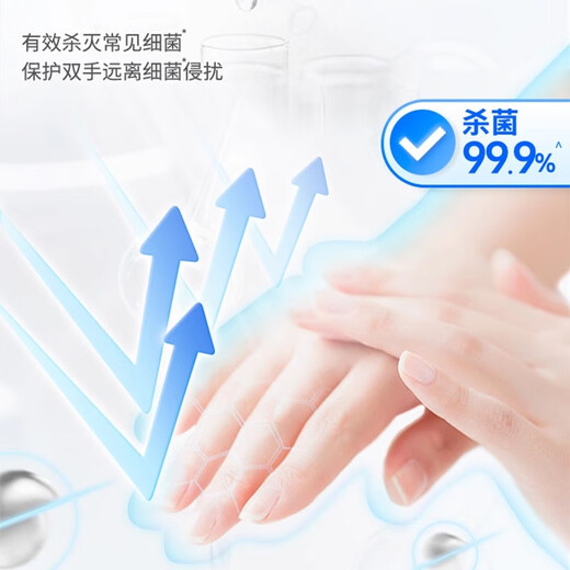 Velox Healthy Antifungal Protein Hand Sanitizer Home Furnishing Household Foam Rich Refill Bag Tea Tree Fresh Hand Sanitizer 250ml