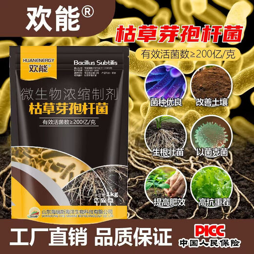 Huaneng Bacillus subtilis agricultural microbial bacterial fertilizer anti-root rot water-soluble fertilizer bacterial fertilizer to improve soil