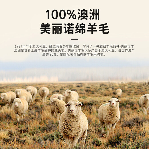 Shanshan 100% pure wool sweater men's 2025 autumn and winter new thin warm turtleneck sweater sweater bottoming shirt top