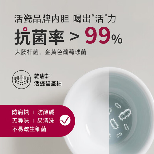 Qiantangxuan Live-Porzellan, kleine fröhliche Keramiktasse mit Deckel, Wassertasse, Keramikeinsatz, hochwertiges Damengeschenk, weiß, rosa, 300 ml