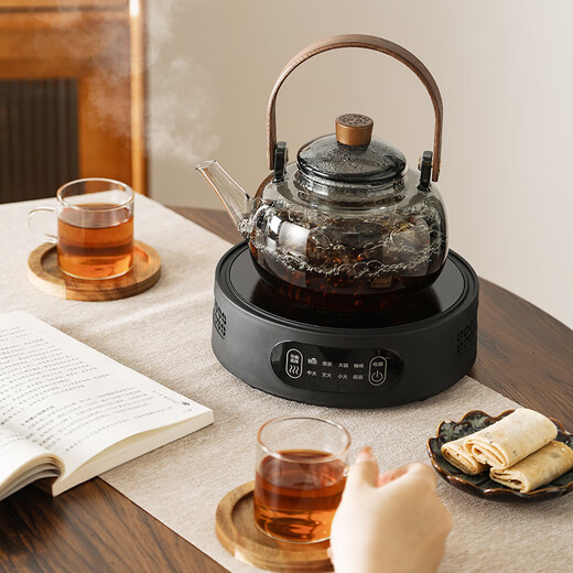 Jiwu Forest Furnace Teapot Electric Ceramic Stove Heating Kettle Tea Maker Health Pot Set Household Kung Fu Tea Set