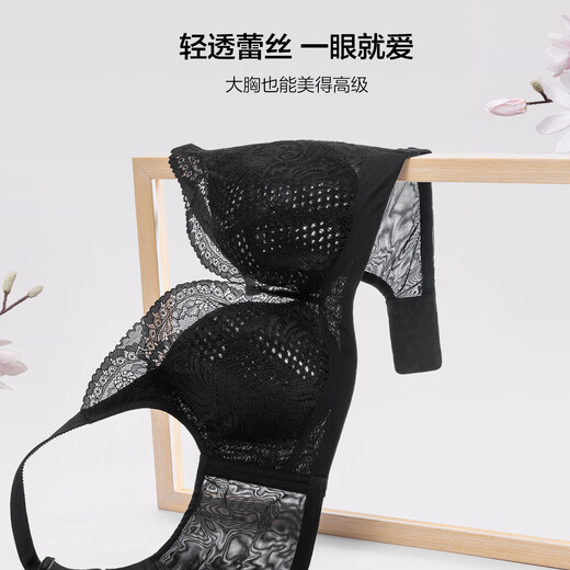 欧迪芬（Ordifen）内衣女Grace系列文胸调整型大胸显小全罩杯收副乳防下垂送女友 黑色 XB3309 80C