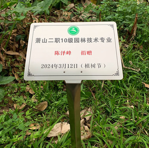 Tree sign, customized tree and flower sign, hanging plant popular science sign, ancient tree insertion sign, introduction sign, stainless steel 20*30CM