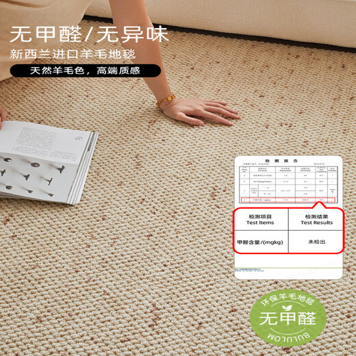 Yingfei imported wool carpet living room 2025 new no-wash and wipeable light luxury high-end atmospheric coffee table sofa carpet mica oatmeal New Zealand wool 160cm*240cm
