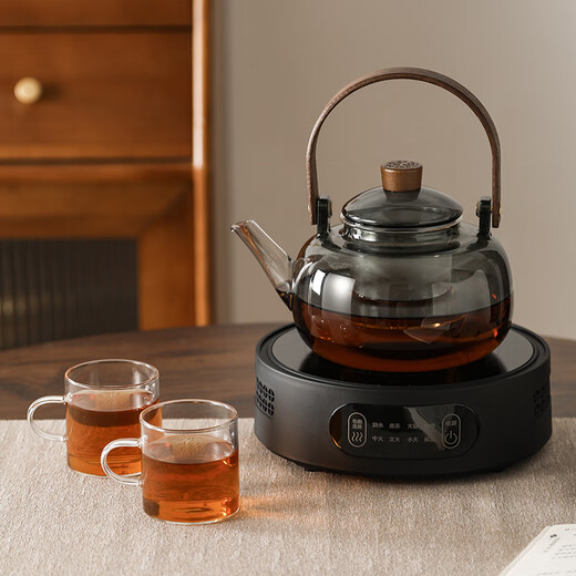 Jiwu Forest Furnace Teapot Electric Ceramic Stove Heating Kettle Tea Maker Health Pot Set Household Kung Fu Tea Set