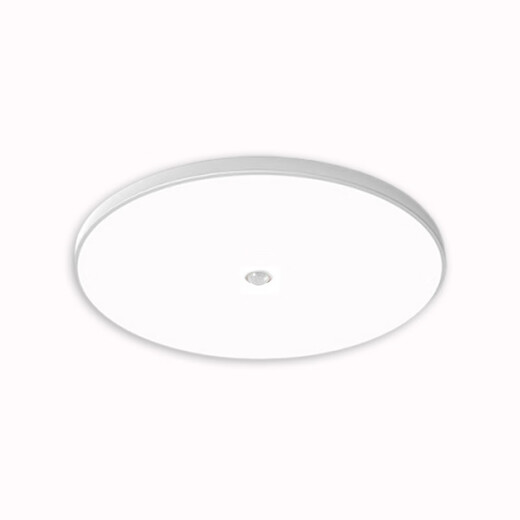 Gongbaili LED induction lamp when people come and light when people go out human body stairs corridor entry door corridor aisle ultra-thin smart toilet human body sensing property 22 watts-human body sensing-80Ra