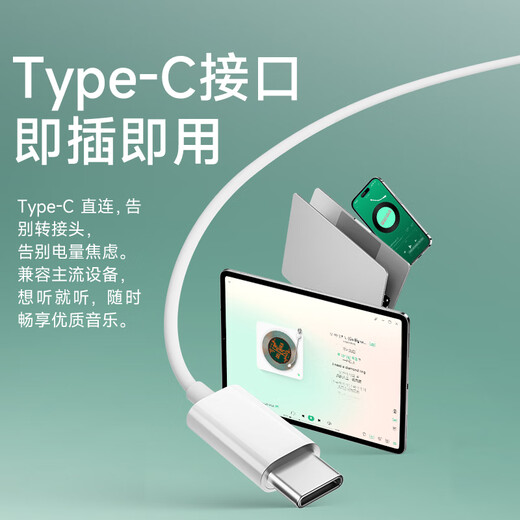 Edifier (EDIFIER) H230P Type-C in-ear wired headphones Hi-Res gold label certification online class office karaoke microphone suitable for Huawei Xiaomi oppo mobile phone Aoki Green