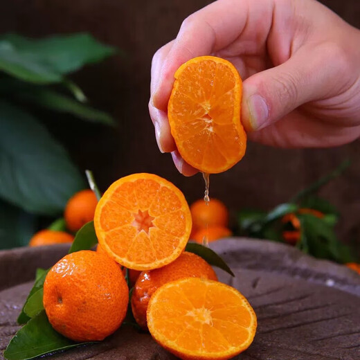 Jingdida Guangxi Tangtang Orange, net weight 4.5Jin Jin is equal to 0.5kg, single fruit 40mm+, straight from the fresh source