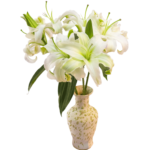 Jingdong Flowers Yunnan Kunming Flower Base Straight Hair White Perfume Lily 9 Family Life Flowers Straight Hair Source